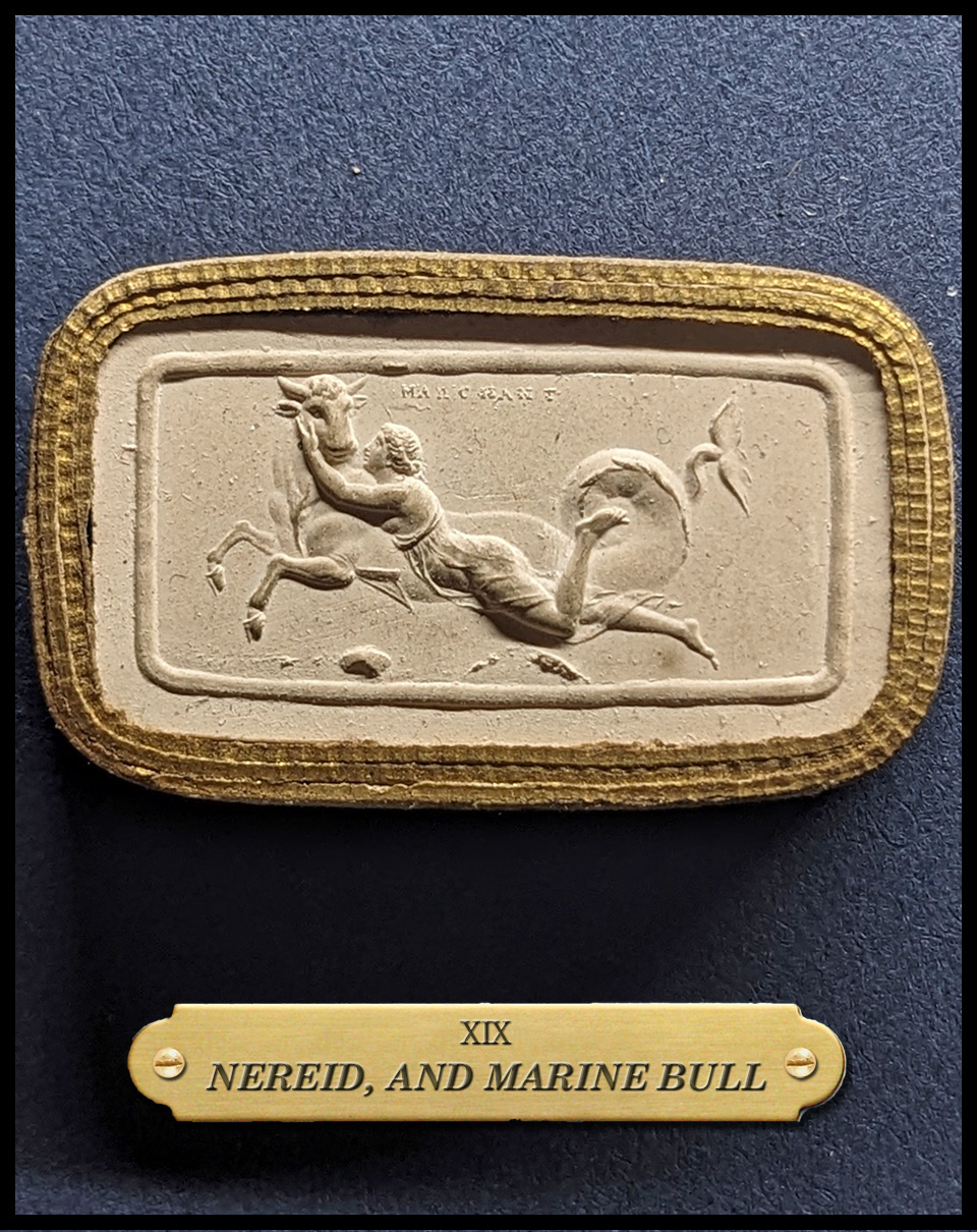 NEREID and MARINE BULL